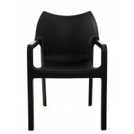 2 vnt. rinkinys DIVA kėdės