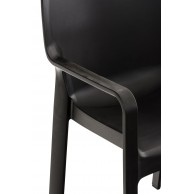 2 vnt. rinkinys DIVA kėdės