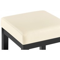 Baras kėdė Taylor B80