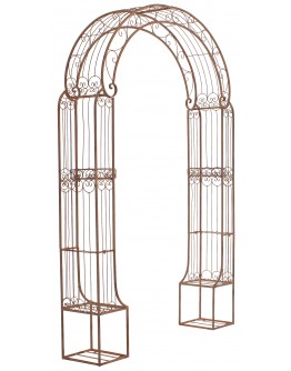„Rose Arch Alessia“, antikinė ruda