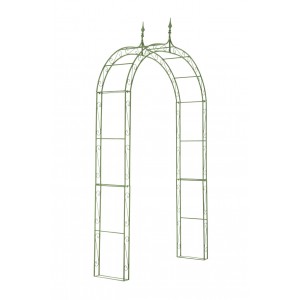 „Rose Arch Lenz“ – senovinė žalia