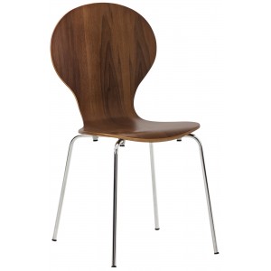 Lankytojų kėdė Diego