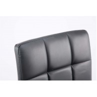 2 vnt. komplektas „Lounger Palma V2“ dirbtinė oda