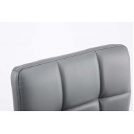 2 vnt. rinkinys „Lounger Palma V2“ dirbtinė oda