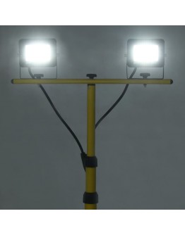 LED prožektorius su trikoju, šaltos baltos spalvos, 2x30W